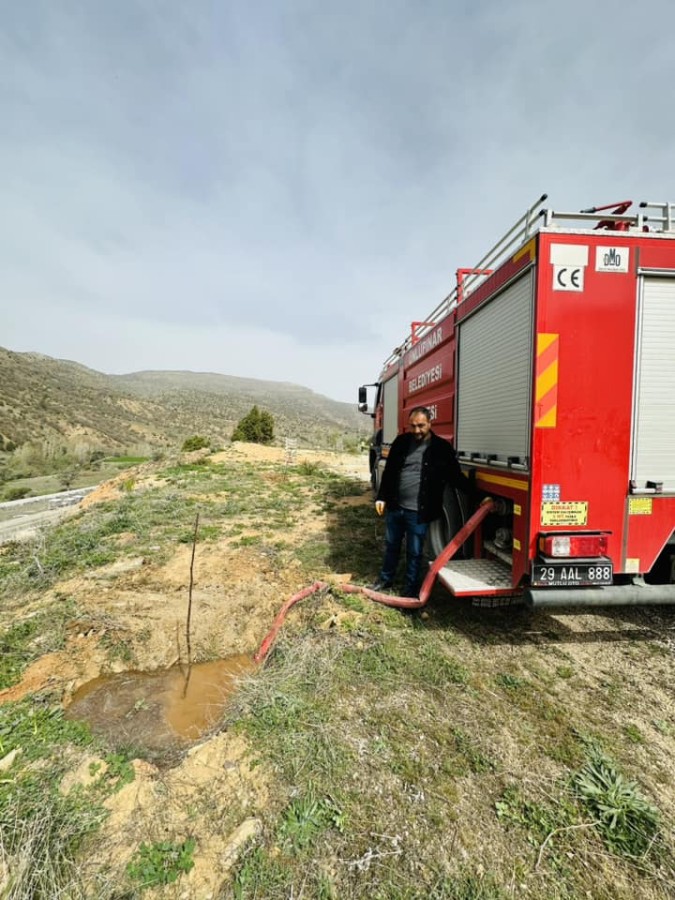 Yeni ceviz ağaçları dikimi yapıldı